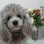 Profile Picture of Nancy Alonso (@nancy.nancy9) on Instagram