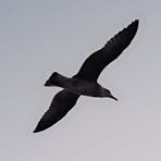 Profile Picture of Carla Breda (@BredaWin) on Facebook