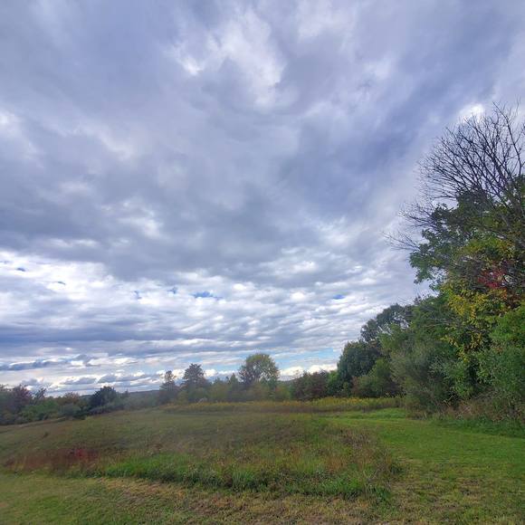 Profile Picture of Jesse Welling (@wellingj284) on Poshmark