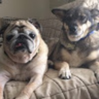 Profile Picture of Gina Lugo (@gina-lugo-11) on Quora