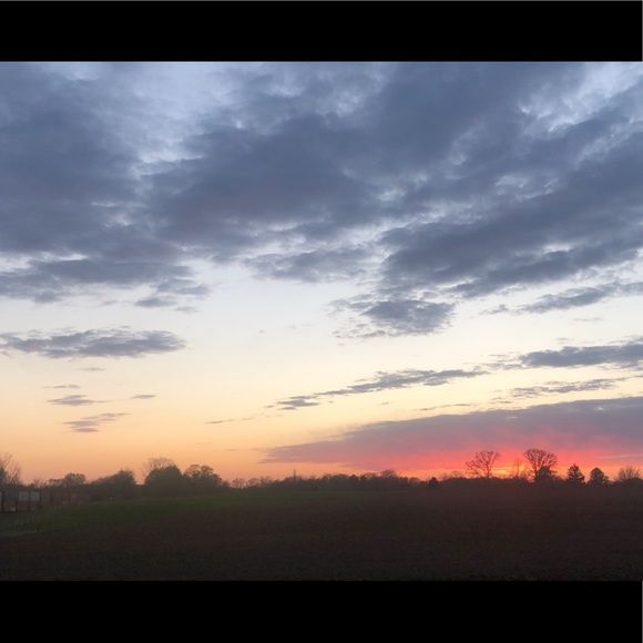 Profile Picture of Breeanna Terry (@thecuteycat) on Poshmark