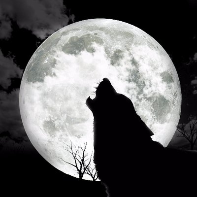 Profile Picture of Wolf Moon Dawn (@WolfMoonDawn) on Twitter