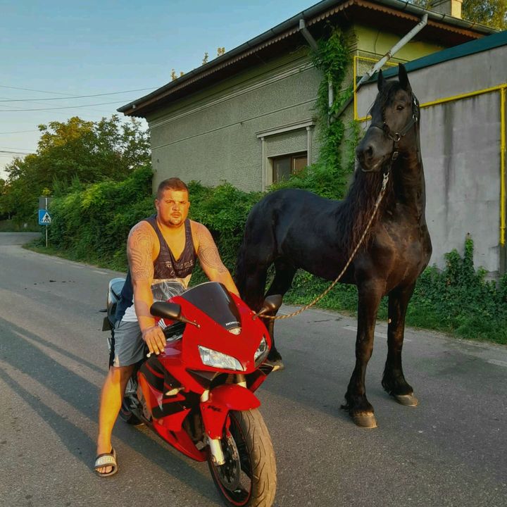 Profile Picture of Robert Robert (@robertrobert786) on Tiktok