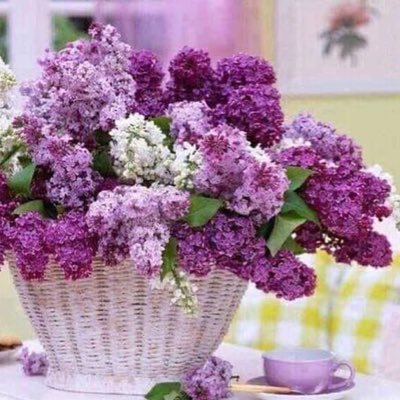 Profile Picture of Maria Del Carmen Bonifaz Cordero (@mariade75665207) on Twitter