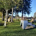 Profile Picture of Andreas hey (@andy_8126_) on Instagram