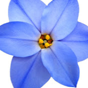 Profile Picture of Stal Hakvoort Hakvoort (@stalhakvoorthakvoort5925) on Youtube