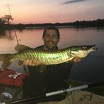Profile Picture of Matt Seymour (@mjseymo) on Instagram