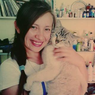 Profile Picture of Andy Noy (@andy_noy) on Twitter