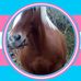 Profile Picture of Angela Calderone (@angela.calderone.16) on Facebook