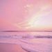 Profile Picture of Vanessa Sperling (@sperling0022) on Pinterest