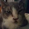 Profile Picture of William Nadeau (@williamnadeau05444) on Pinterest