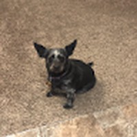 Profile Picture of Savannah Rivera (@savannah-rivera-59) on Quora