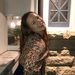 Profile Picture of Lily Andrews (@andrews9107) on Pinterest