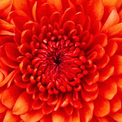 Profile Picture of Nandini Krishna (@nandinikrishna3135) on Youtube