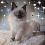Profile Picture of Barbara Frankiewicz (@barbarafrankiewicz) on Instagram