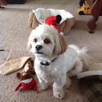 Profile Picture of LuAnn Howe (@luann.howe) on Facebook