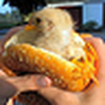 Profile Picture of Matt Beyer (@matt beyer) on Flickr