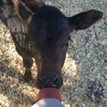 Profile Picture of Michael wisby (@03_michael_05) on Instagram