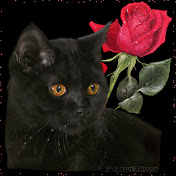 Profile Picture of Ted Simonova (@teodorazoeva) on Youtube