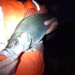 Profile Picture of Bryce Gantzias (@bicsbeenfishing) on Instagram