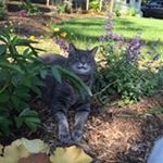 Profile Picture of Jodi Bloom (@woobloom) on Instagram