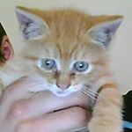 Profile Picture of Kevin Magnani (@magnanikevin) on Instagram