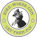 Profile Picture of Daniel Brockner (@bird-wings.com) on Flickr