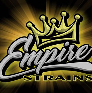 Profile Picture of Michael EmpireStrains Figard (@mezo.strains) on Facebook