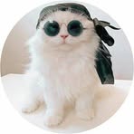 Profile Picture of Amal Hammad (@amal.hammad.562834) on Facebook