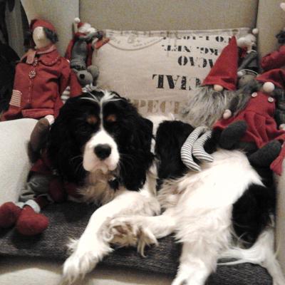 Profile Picture of Paula Lindström (@Lindstrom1Paula) on Twitter
