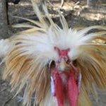 Profile Picture of Tommy Stout (@tommystout10) on Instagram