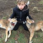 Profile Picture of Raymond Lanfear (@raymondlanfear) on Instagram