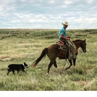 Profile Picture of Scooter (@pedersen_kyle) on Twitter