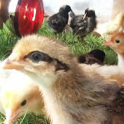 Profile Picture of Martin Anderton (@martinanderton7829) on Youtube