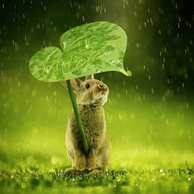 Profile Picture of Jonathan O' Halloran (@Johalloran10) on Twitter