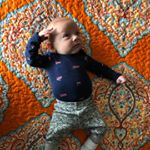 Profile Picture of Silas Jesse Fine (@silasjessefine) on Instagram