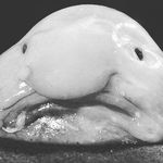 Profile Picture of Nils Lantto (@nils_bils) on Instagram