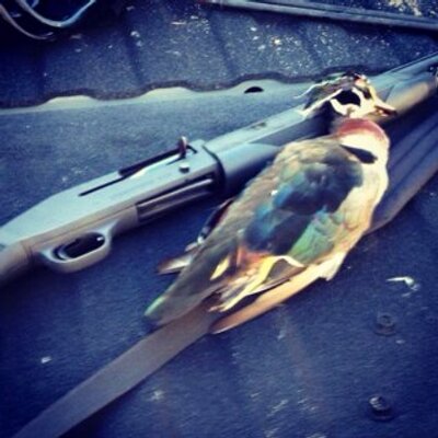 Profile Picture of Mason Manning (@mason_manning13) on Twitter