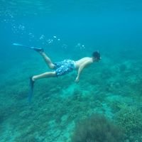 Profile Picture of Stephen Ong (@stephenongdavao) on Twitter