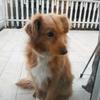 Profile Picture of danielkugler22 (@@danikugler22) on Tiktok