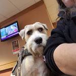 Lori Lazore- Mcchesney - Instagram Profile Picture of Lori Lazore- Mcchesney (@lazoremcchesney) on Instagram