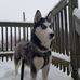 Profile Picture of Chris Caron (@chris.caron.758) on Facebook