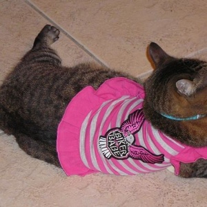 Profile Picture of Erika (@erikakappel) on Myspace