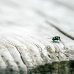 Profile Picture of Andrew Elias-Jones (@andrewe_j) on Instagram