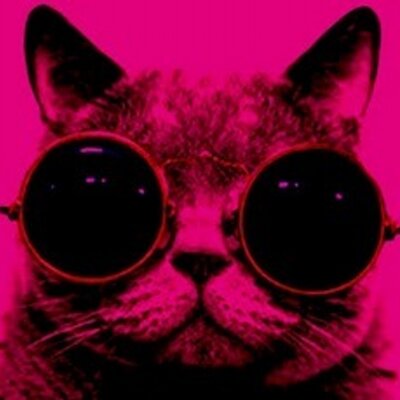 Profile Picture of Polina Eremina (@daddywaspretend) on Twitter