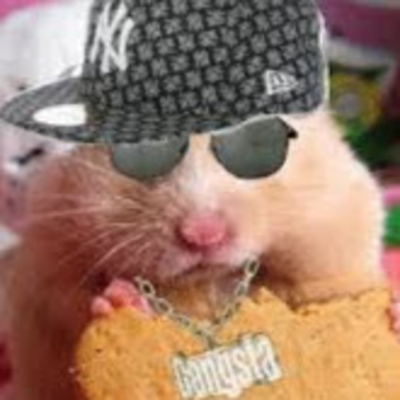 Profile Picture of Tyler Mccarthy (@robloxty06) on Poshmark