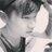 Profile Picture of Jacob Loo (@@31394905873) on Tiktok