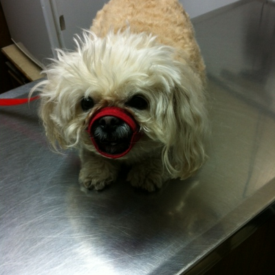 Profile Picture of Jerry Petty (@JerryPetty18) on Twitter