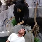 Profile Picture of Jason Loring (@jason.loring.338) on Instagram