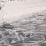 Jules◼️ - Instagram Profile Picture of Jules◼️ (@jules_gautier_) on Instagram